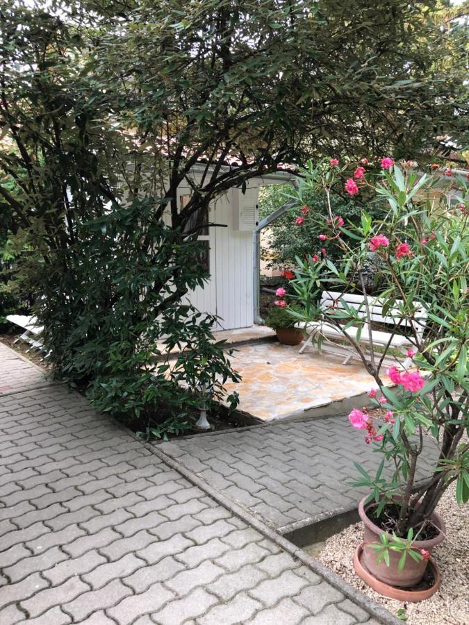 Szem-S Vendeghaz Otel Balatonszárszó Dış mekan fotoğraf