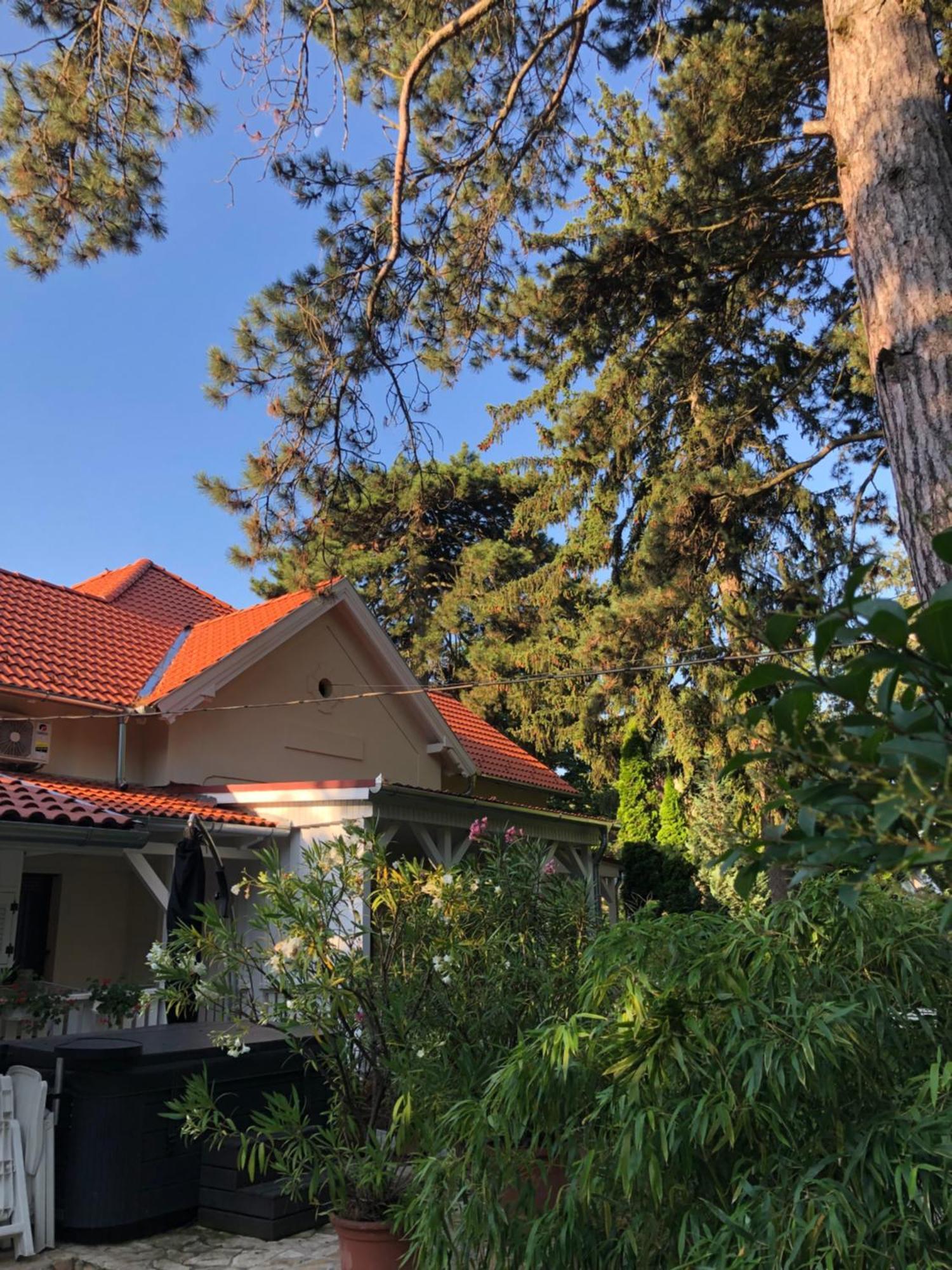 Szem-S Vendeghaz Otel Balatonszárszó Dış mekan fotoğraf